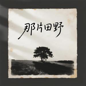 那片田野