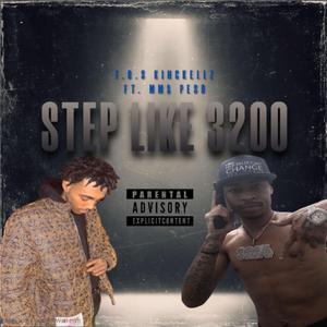 STEP LIKE 3200
