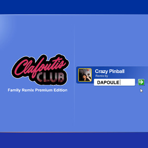 Crazy Pinball (Family Remix Premium Edition)