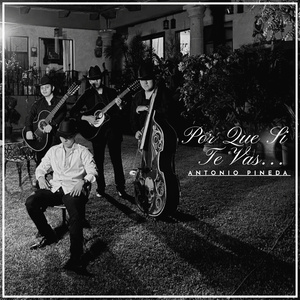 Por Que Si Te Vas…