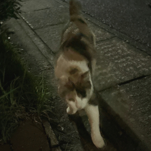 ひとやすみ (feat.初音ミク)