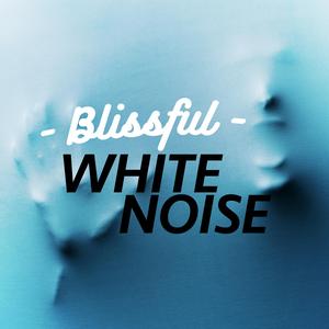 White Noise: A Kettle and Microwave