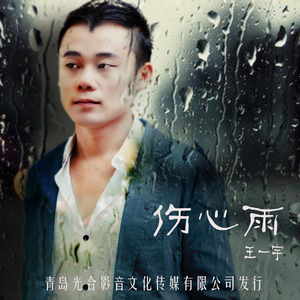 王一宇-伤心雨
