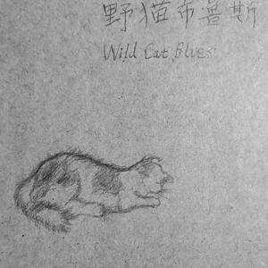 野猫布鲁斯 pt.2 给猫听的