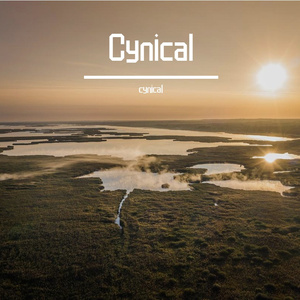 Cynical(EXtend Mix)