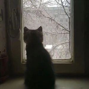 Diese Liebe (uuml Deep house)