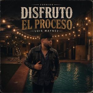 Disfruto el proceso