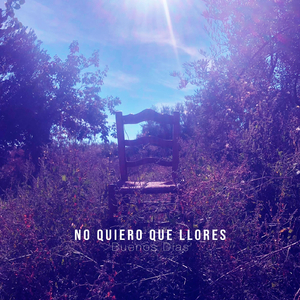 No Quiero Que Llores "Buenos Días" (En Vivo)