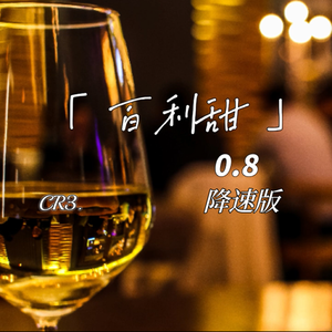 百利甜(0.8降速版)