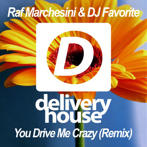 You Drive Me Crazy (DJ Kharitonov Remix)