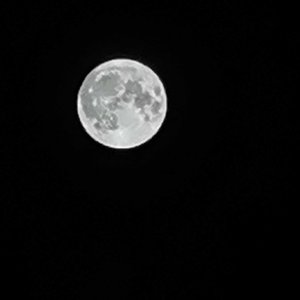 聊天记录 是共同财产（Abuse）