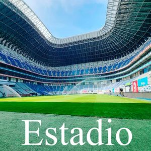 Estadio