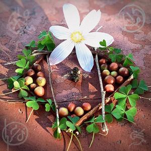 DIIVIINE IINTERVENTIION