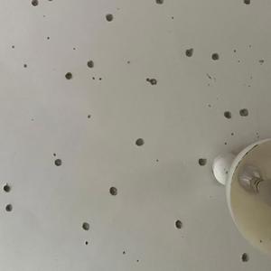 Stop! (feat. Steve Austin) (Special Version)