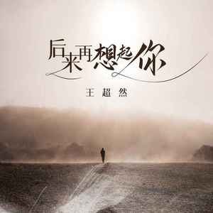 后来再想起你 (DJ默涵版)