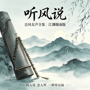 听风说DJ女声版快速版.wav