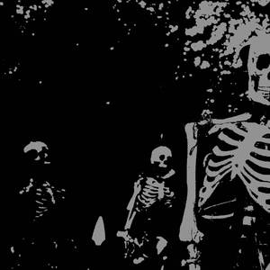 Nightstalk
