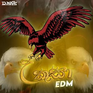 Ukusa EDM