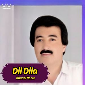 Dil Ghushi