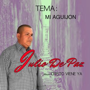 Mi aguijon