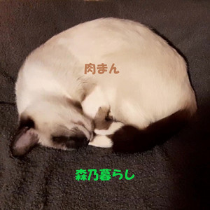 肉まん