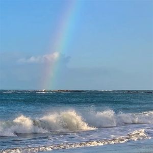 爱已成空梦已成风