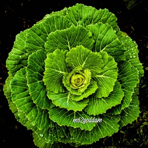 Empty Quarter (Radio Edit)