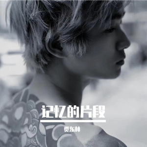 记忆的片段 (1)