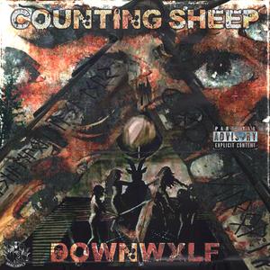 Counting Sheep