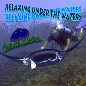 Dancing With Manta Rays