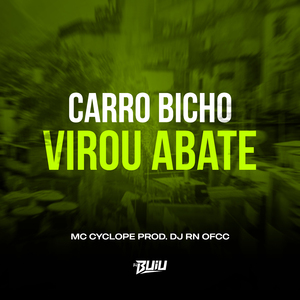 Carro Bicho Virou Abate