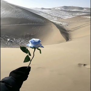 写给你的信 Demo