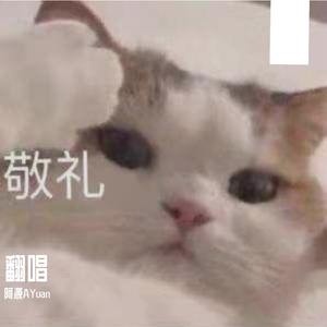 雨爱