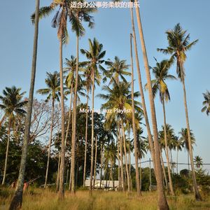 适合居家办公选择音乐