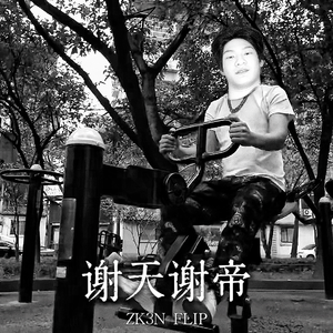 谢天谢帝 (ZK3N FLIP)