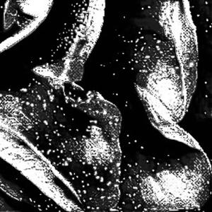 Final Winter (feat. ionovemb)