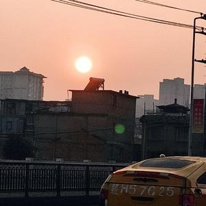 沈辞若
