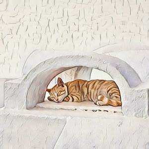 She Knows I'm Part Of The Hood