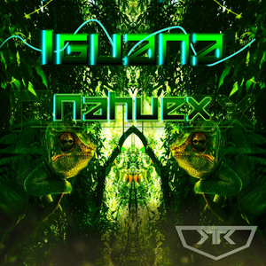 Iguana (Original Mix)