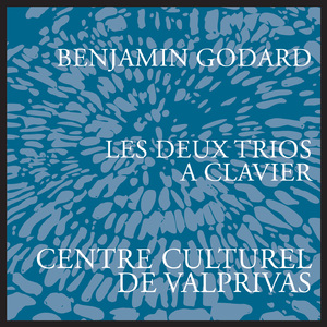 Piano Trio No. 1 in G Minor, Op. 32: I. Allegro