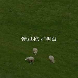 错过你才明白
