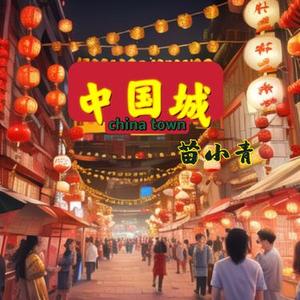 中国城 (chinatown)