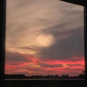 Day,Young Morning