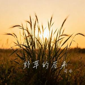 野草的后来 (Cover 葱香科学家 (王悠然) & 张一宸)