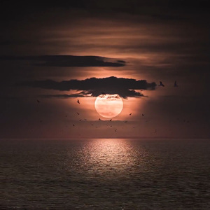 【Trap】"我爱你" 中国风*加木 Type Beat