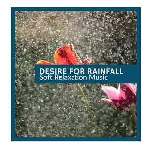 Perfect Insects & Birds