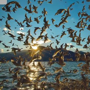 【FREE】“融化” Afro type beat