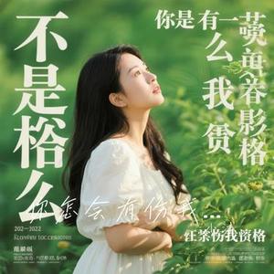 你怎会有伤我的资格 (Cover 赵薇薇)