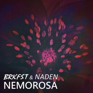 Nemorosa (Original Mix)