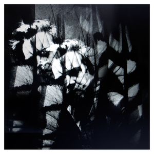 Walk Alone (Discoballistic remix)